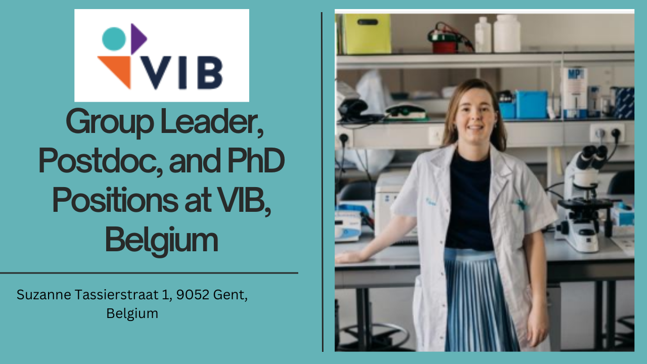 Group Leader, Postdoc, and PhD Positions at VIB, Belgium