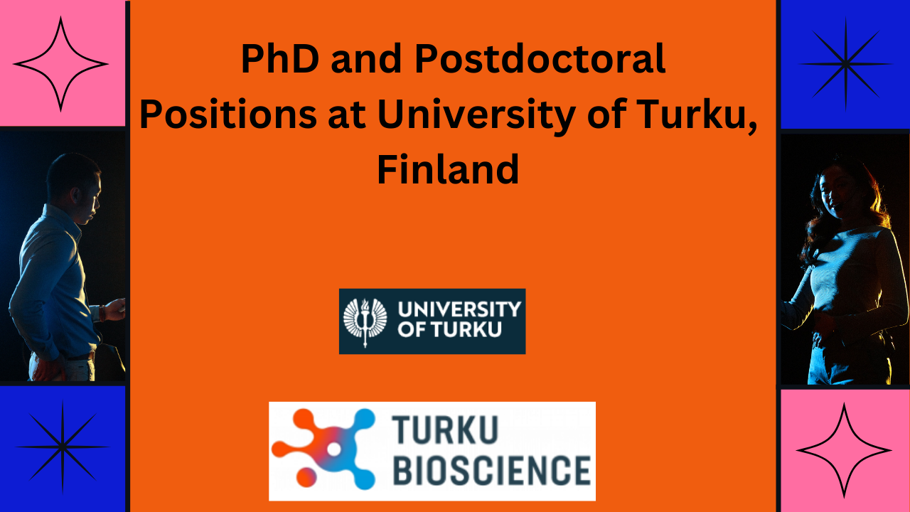 PhD and Postdoctoral Positions at University of Turku, Finland