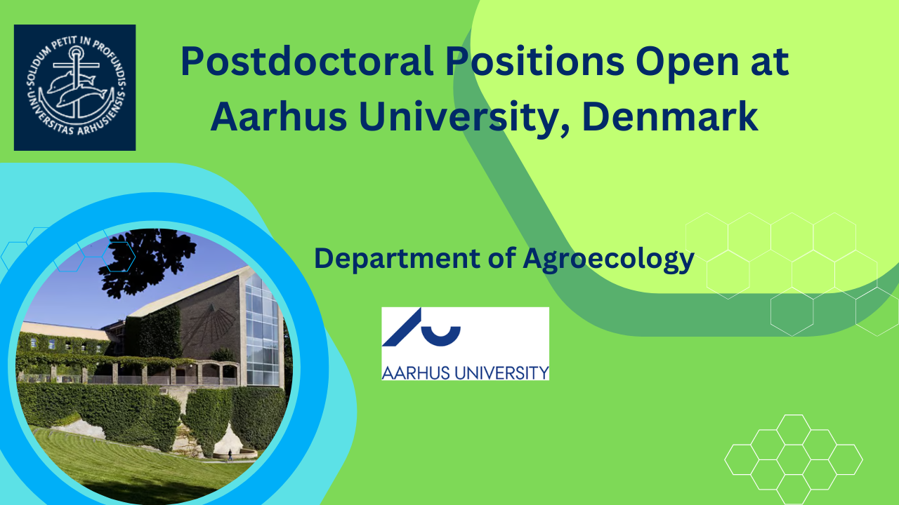 Tenure-Track and Postdoctoral Positions Open at Aarhus University, Denmark