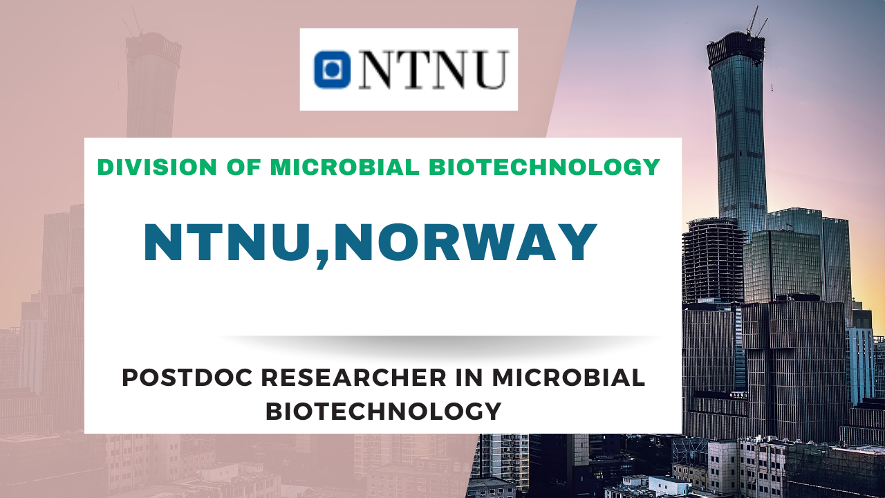 Researcher in Microbial Biotechnology